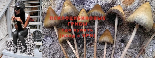 наркотики Алексеевка